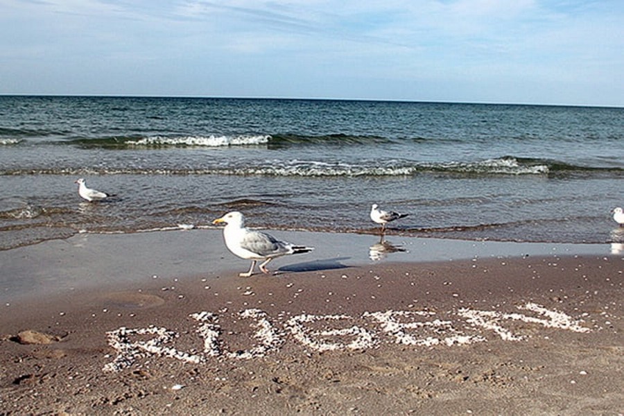 Urlaub auf Rügen